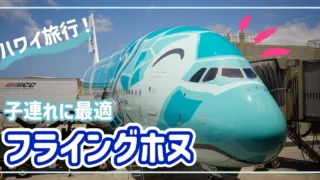 【フライングホヌ】ハワイ家族旅行に最適！エアバスA380に子連れで乗ってみた