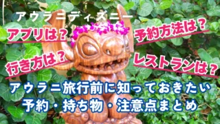 【アウラニ準備ガイド】旅行前に知っておきたいアウラニディズニーの予約・持ち物・注意点まとめ