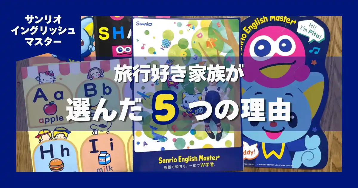 SEMを選んだ理由5選